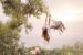 hanging_on_reduced
