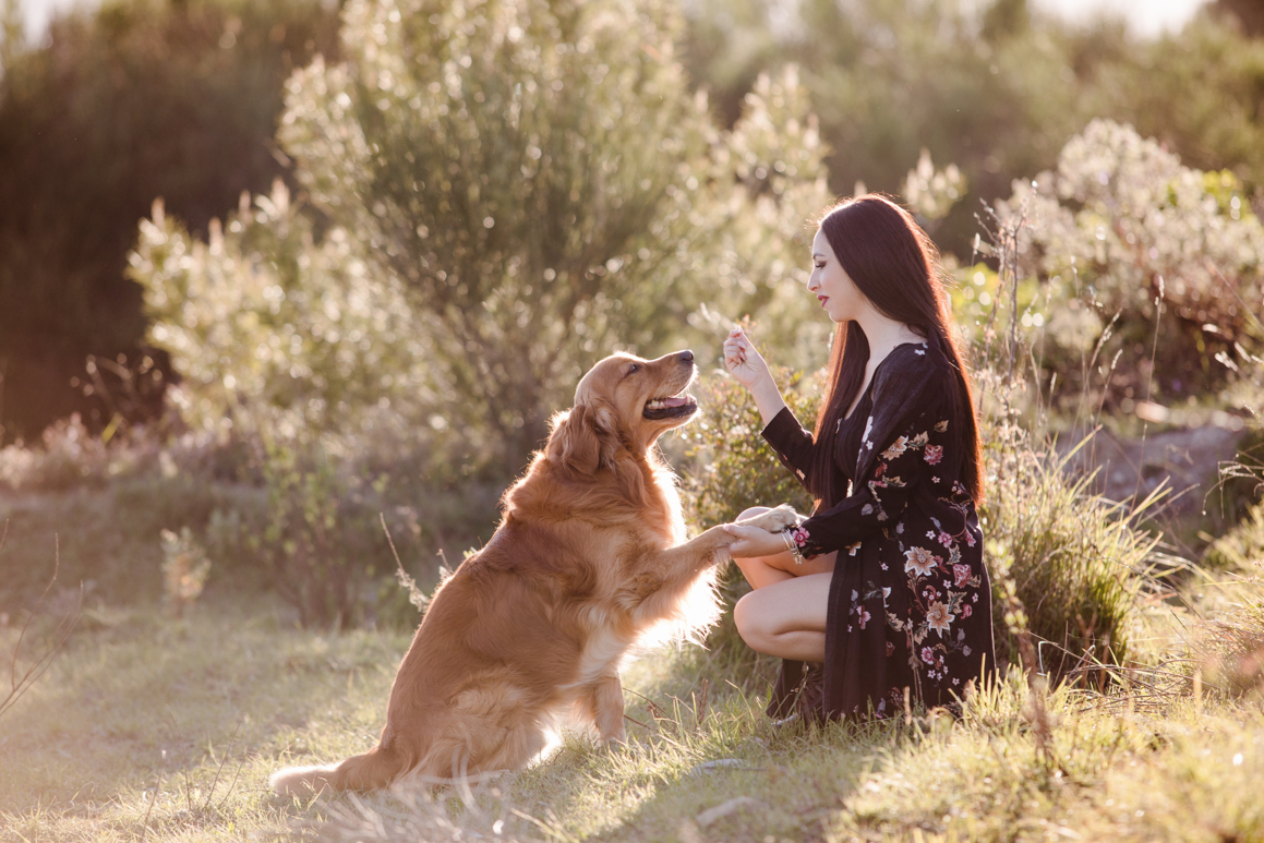 pet photography liguria ventimiglia provincia di imperia photoshoot golden retriever