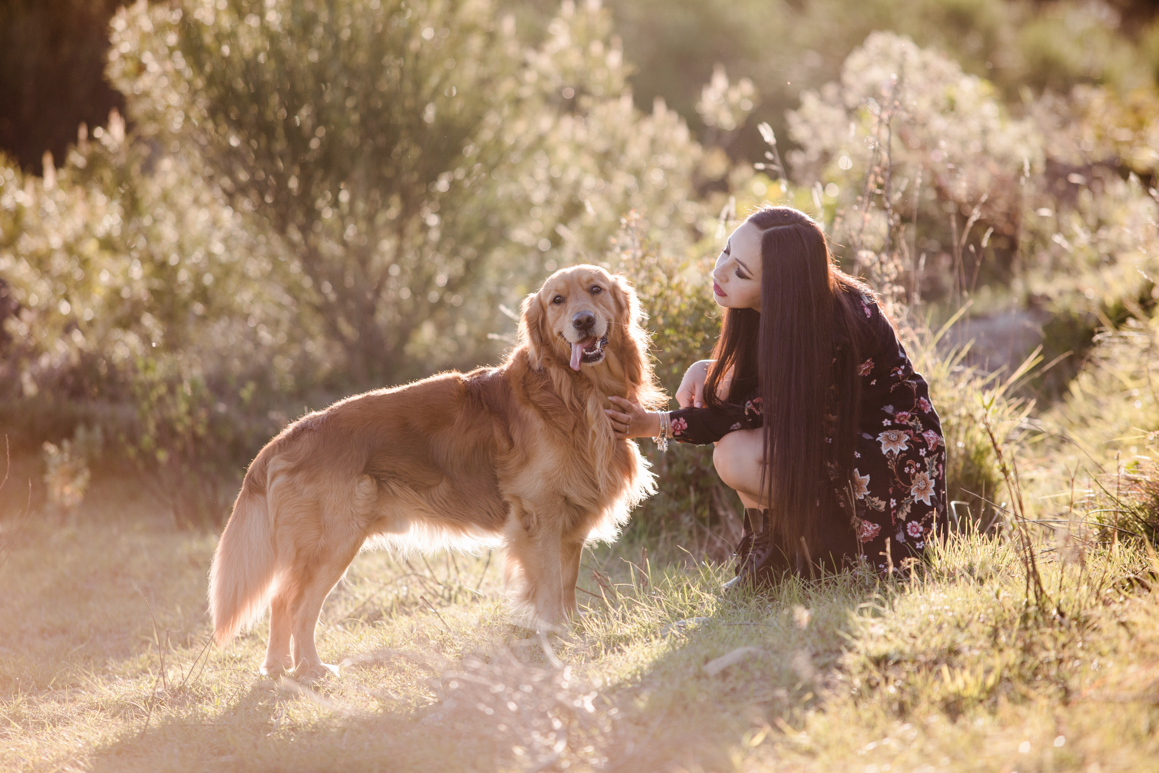 pet photography liguria ventimiglia provincia di imperia photoshoot golden retriever