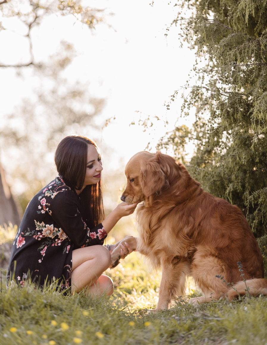pet photography liguria ventimiglia provincia di imperia photoshoot golden retriever