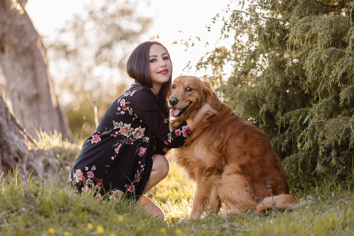 pet photography liguria ventimiglia provincia di imperia photoshoot golden retriever