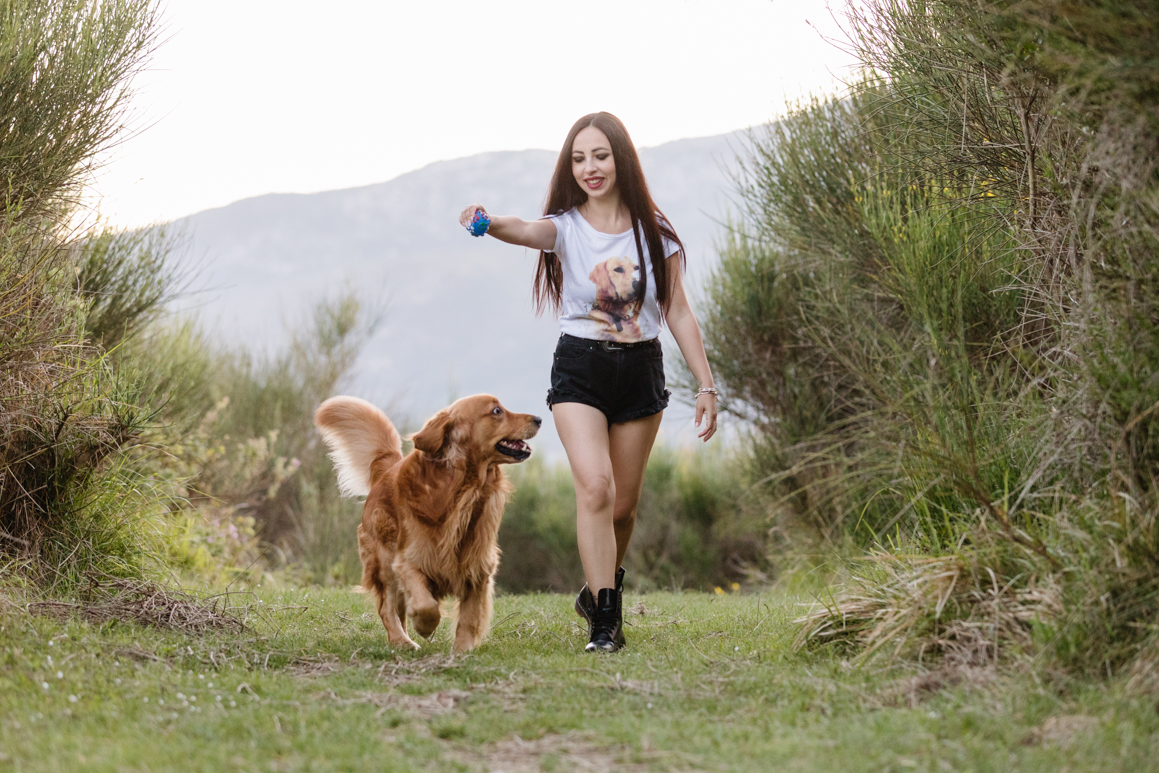 pet photography liguria ventimiglia provincia di imperia photoshoot golden retriever